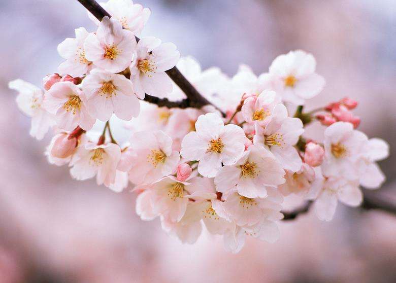 雨菡:蝴蝶忽然满枝头(外十一首)(图12)