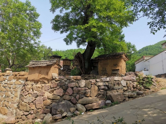 鲁山县 “贫困山村”嬗变“美好桃源”