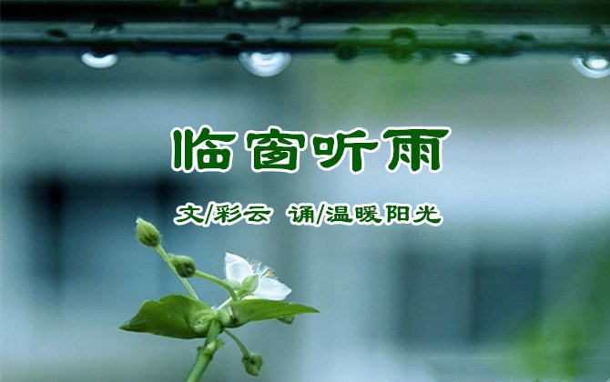 临窗听雨的图片,听雨图片_大山谷图库
