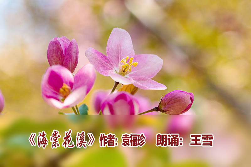 娴锋　鑺辨邯浣滆?呰绂忕弽鏈楄鐜嬮洩.jpg