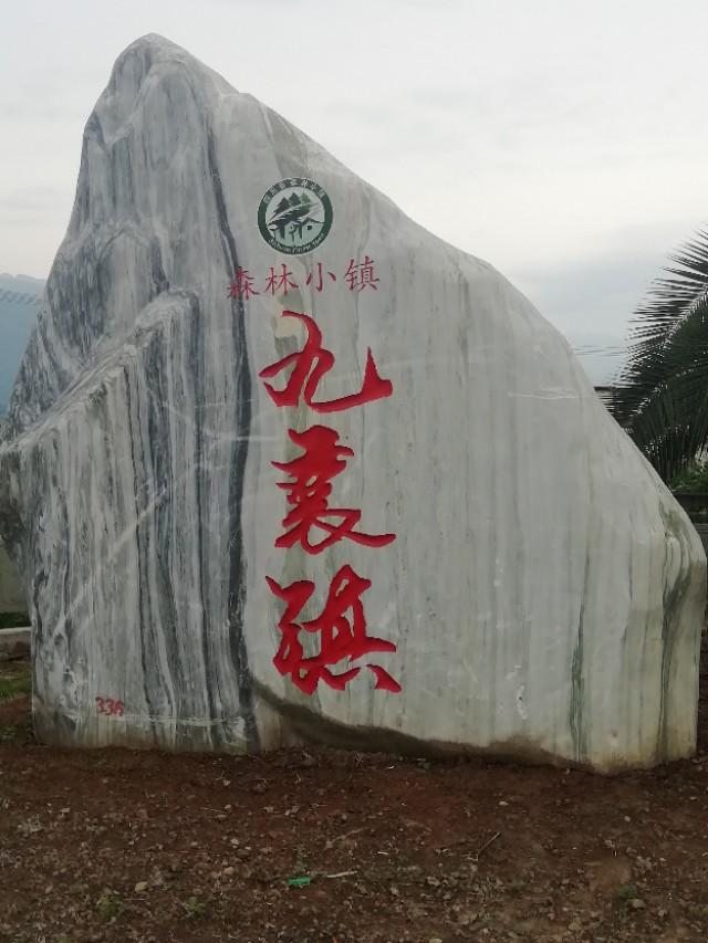 春游花海果乡