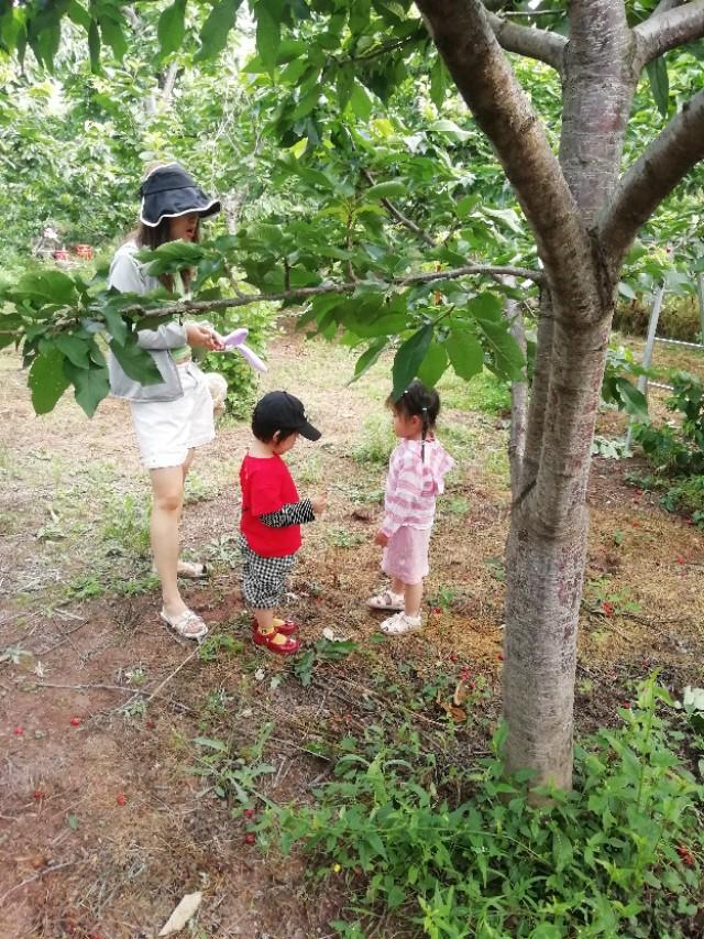 春游花海果乡