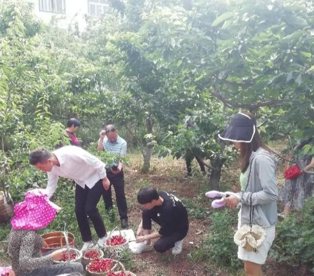 春游花海果乡