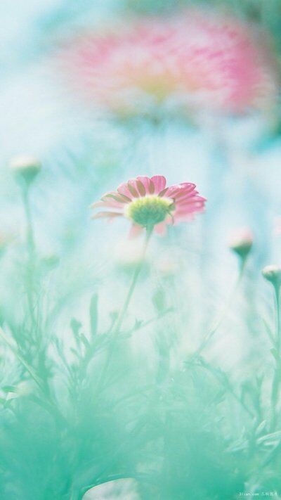雨菡:恋爱如宗教(图3)