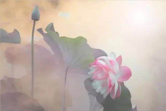 雨菡:一次相遇,一生缄默(图4)