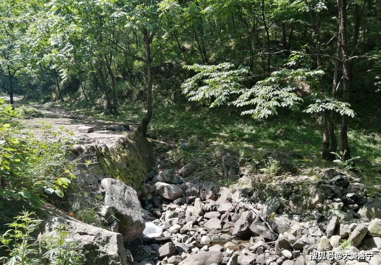 洛宁程志民游记——天然氧吧全宝山（图5）