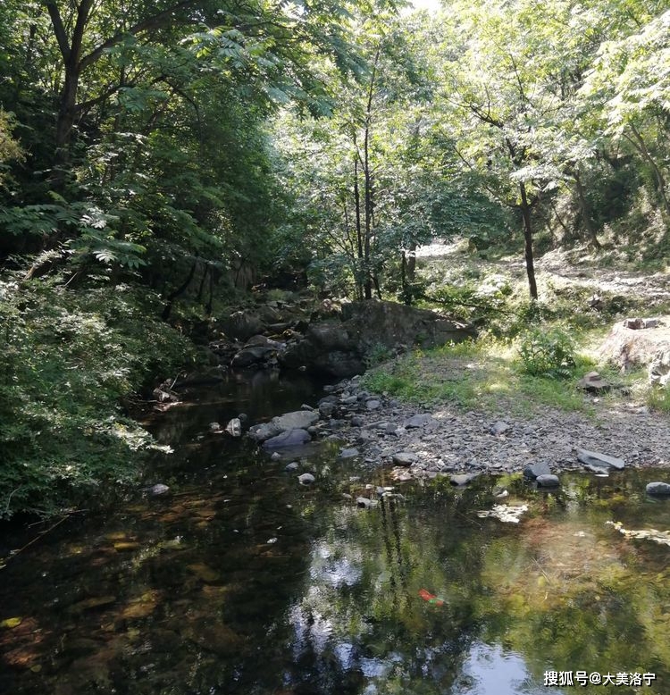 洛宁程志民游记——天然氧吧全宝山（图7）