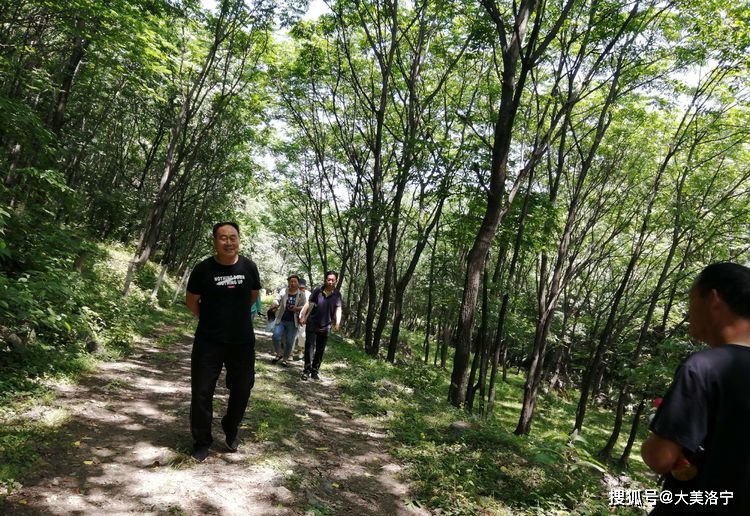 洛宁程志民游记——天然氧吧全宝山（图12）