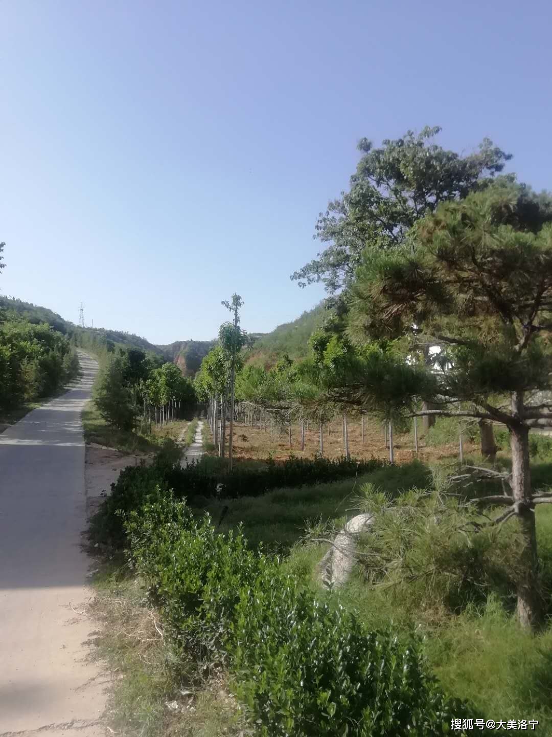 洛宁金玉国:大堰沟的传说(图9)