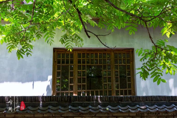 [贾化真摄影]山中无甲子，青峰得一阙～盖州市小石棚青峰阙山庄散记（图8）