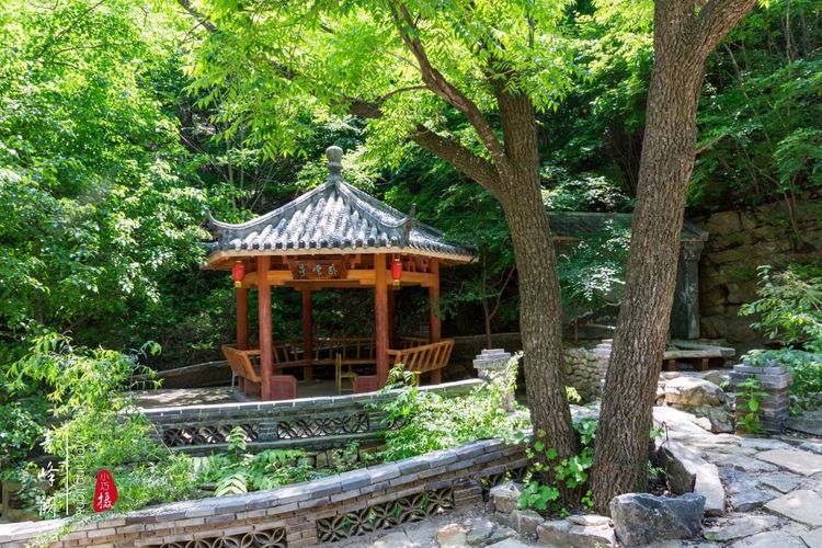 [贾化真摄影]山中无甲子，青峰得一阙～盖州市小石棚青峰阙山庄散记（图19）