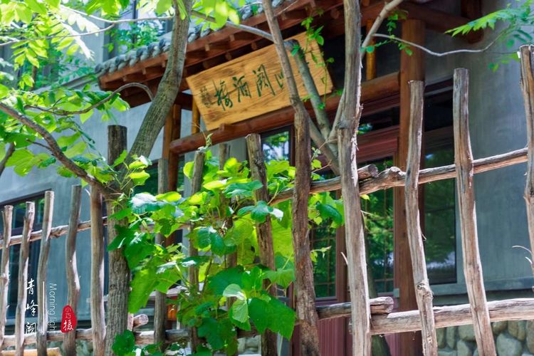 [贾化真摄影]山中无甲子，青峰得一阙～盖州市小石棚青峰阙山庄散记（图26）
