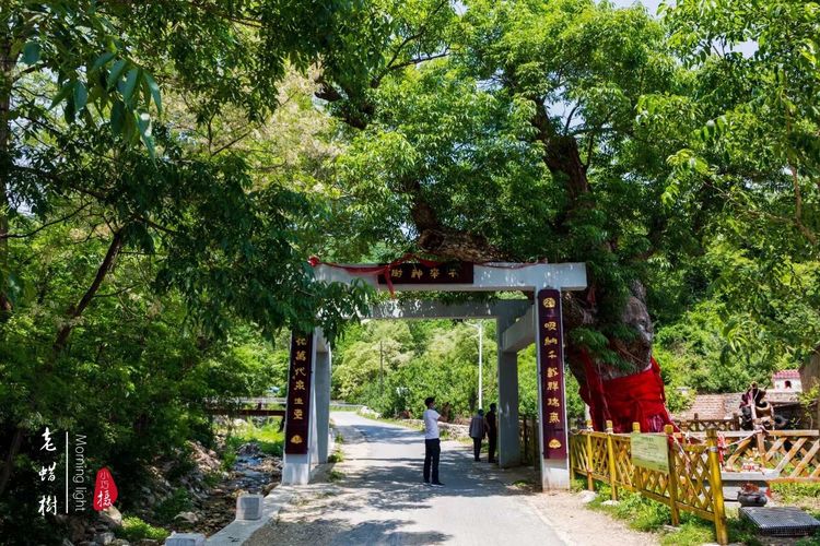 [贾化真摄影]山中无甲子，青峰得一阙～盖州市小石棚青峰阙山庄散记（图30）