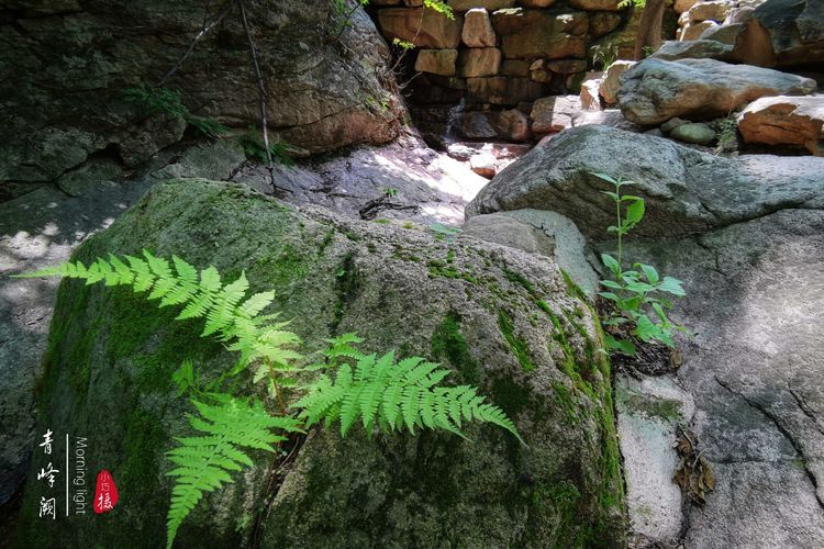 [贾化真摄影]山中无甲子，青峰得一阙～盖州市小石棚青峰阙山庄散记（图33）