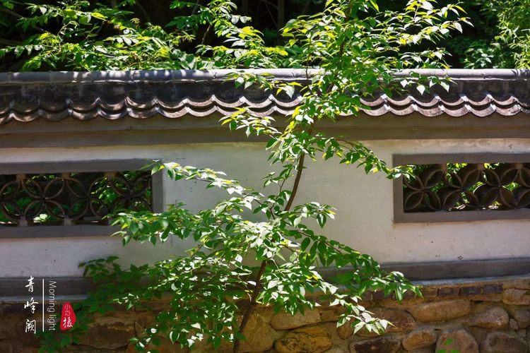 [贾化真摄影]山中无甲子，青峰得一阙～盖州市小石棚青峰阙山庄散记（图39）