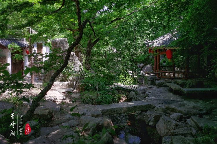 [贾化真摄影]山中无甲子，青峰得一阙～盖州市小石棚青峰阙山庄散记（图42）