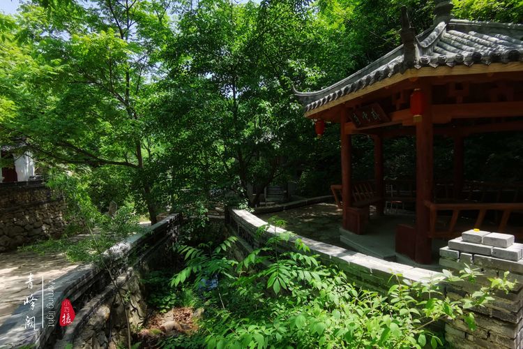 [贾化真摄影]山中无甲子，青峰得一阙～盖州市小石棚青峰阙山庄散记（图50）