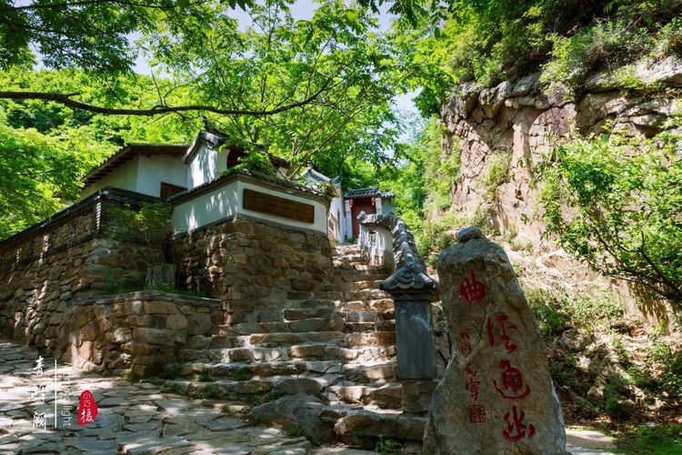 [贾化真摄影]山中无甲子，青峰得一阙～盖州市小石棚青峰阙山庄散记（图51）