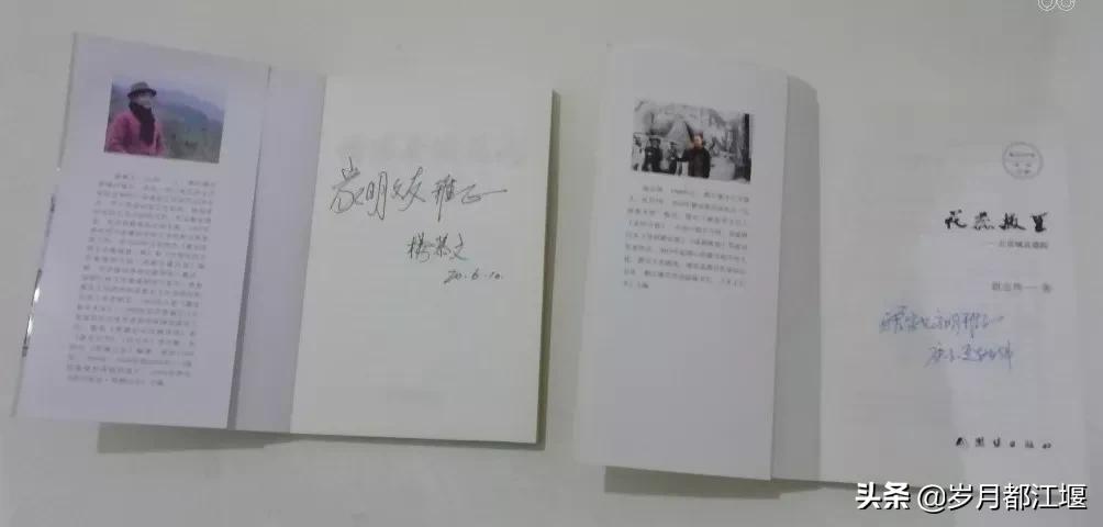 六月，凉快中阅读（图2）