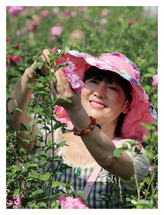 寰俊鍥剧墖_20200712134035_鍓湰.png