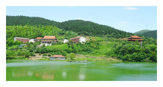 1594821758676086069.jpg 4_鍓湰.jpg