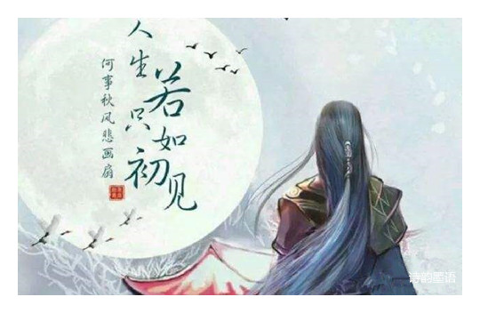 1595242160331077474.jpg timg (2)_鍓湰.jpg