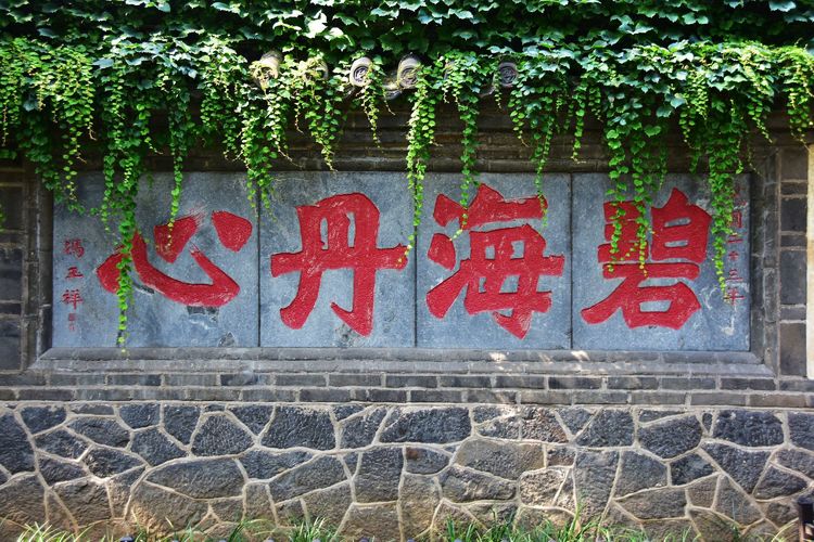 苏林:登蓬莱阁 观人间仙境(图40)