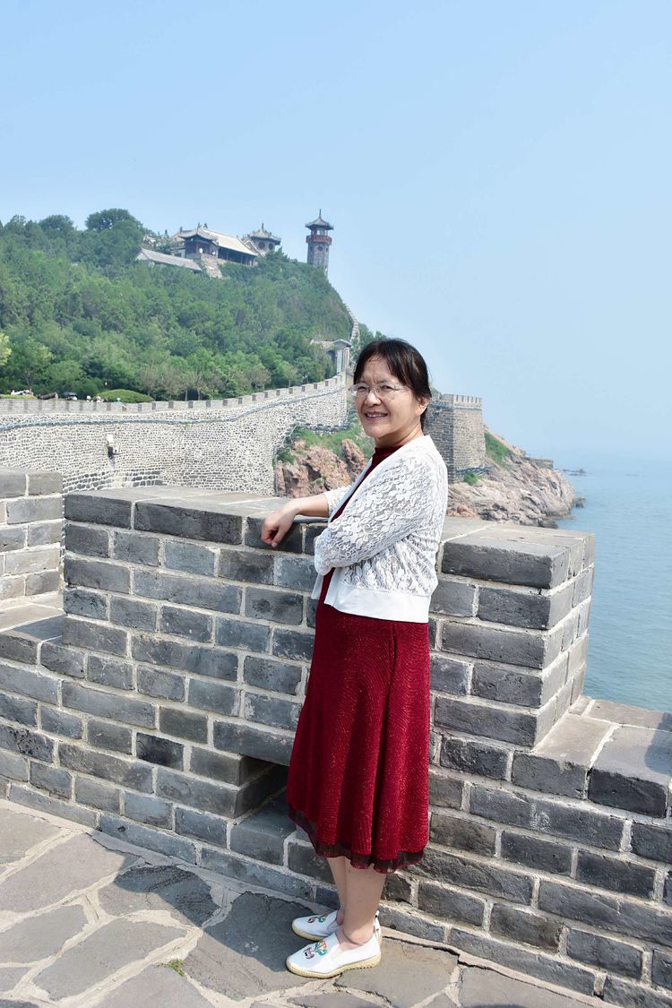 苏林:登蓬莱阁 观人间仙境(图53)