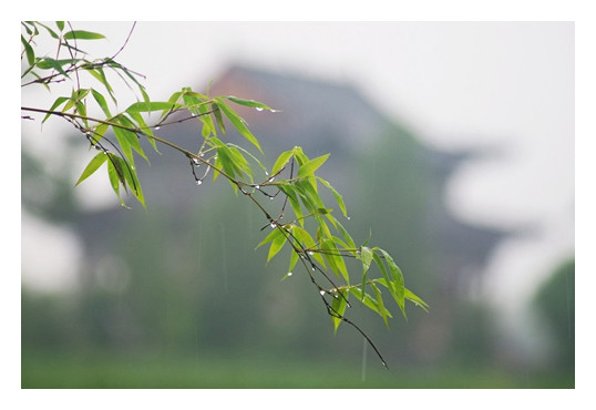 1595685288982097117.jpg 3_鍓湰.jpg