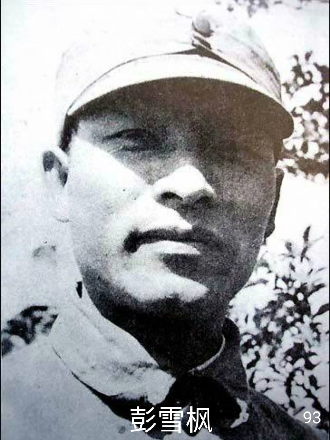 93褰洩鏋?.jpeg