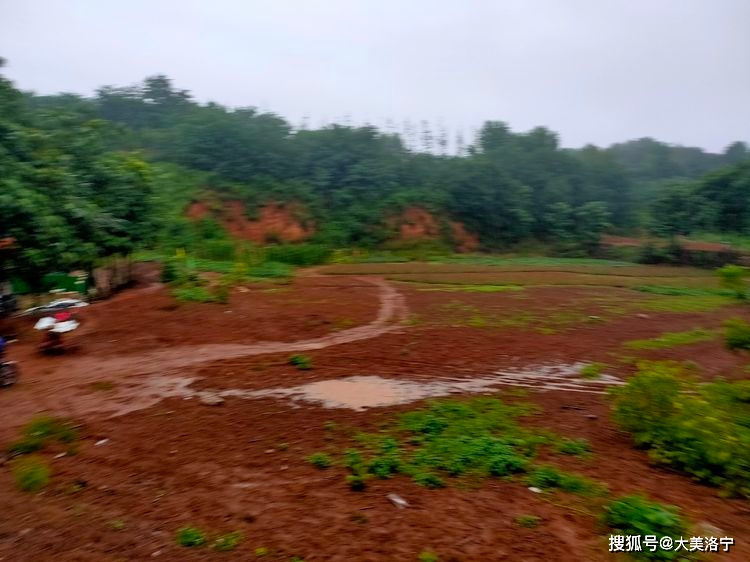 寻访石壕村(洛宁雷冰)(图12)