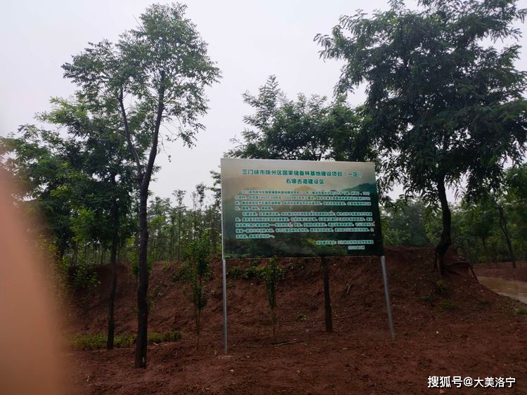 寻访石壕村(洛宁雷冰)(图14)