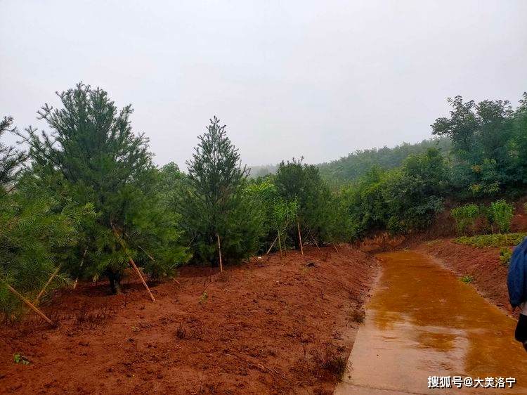 寻访石壕村(洛宁雷冰)(图16)