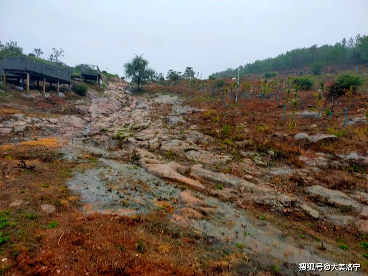 寻访石壕村(洛宁雷冰)(图19)