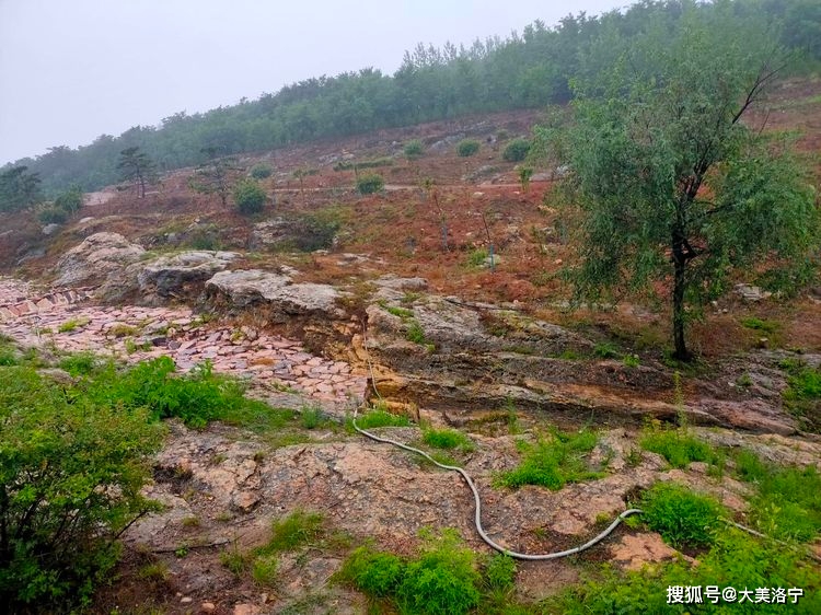 寻访石壕村(洛宁雷冰)(图20)