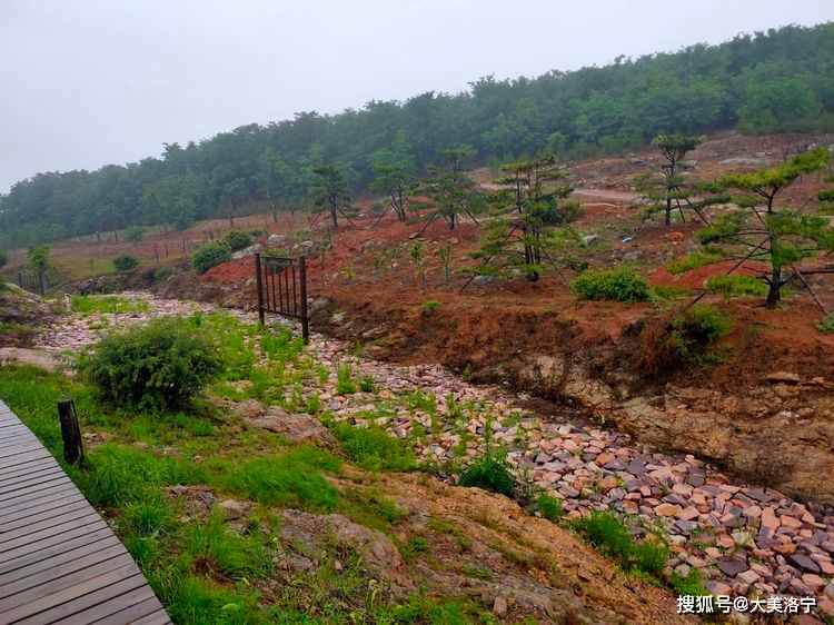 寻访石壕村(洛宁雷冰)(图21)