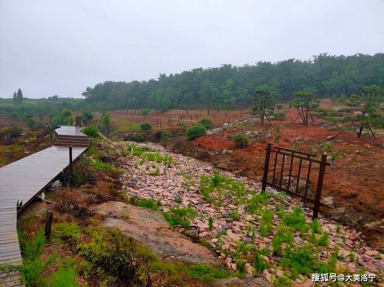 寻访石壕村(洛宁雷冰)(图22)