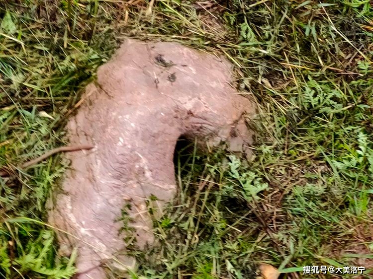 寻访石壕村(洛宁雷冰)(图23)