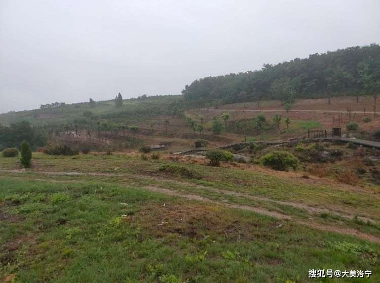寻访石壕村(洛宁雷冰)(图25)