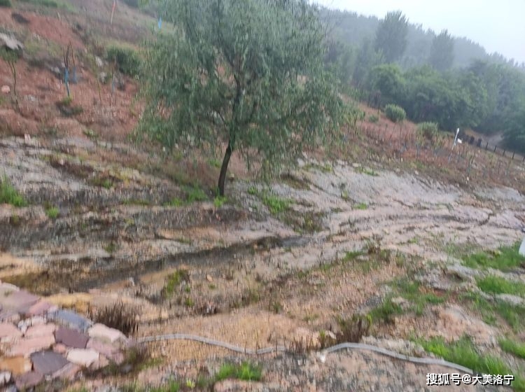 寻访石壕村(洛宁雷冰)(图27)