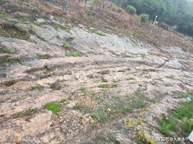 寻访石壕村(洛宁雷冰)(图28)