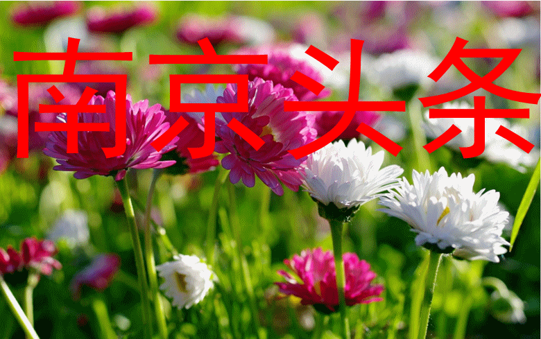 微信截图_2020072037_副本.gif