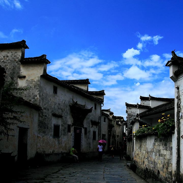 故园 文/北国风歌 诵/林海(图3)