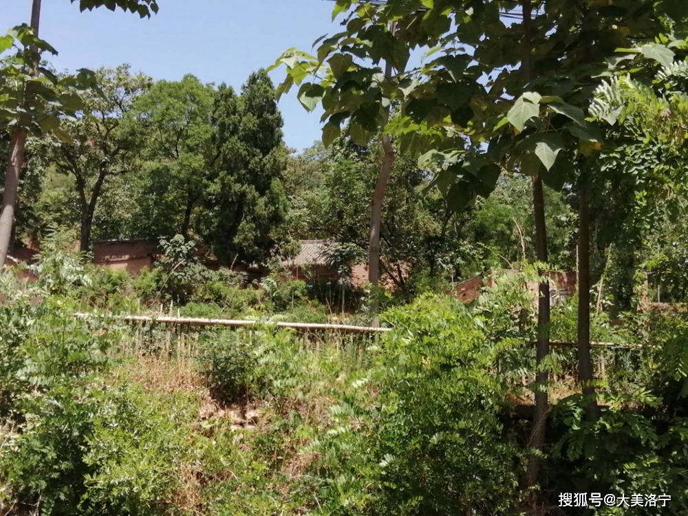 洛宁杨粉红——栖霞观的前世今生(图5)