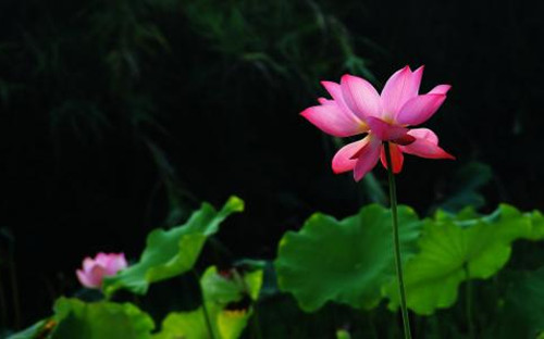 5_鍓湰.jpg