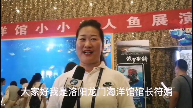 洛阳龙门海洋馆•美人鱼的传奇~让孩子和小小美人鱼一同遨游海洋(图28)