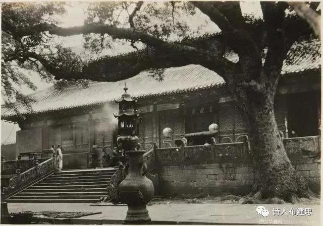 布建忠(小布丁):济南大明湖传奇(图2)