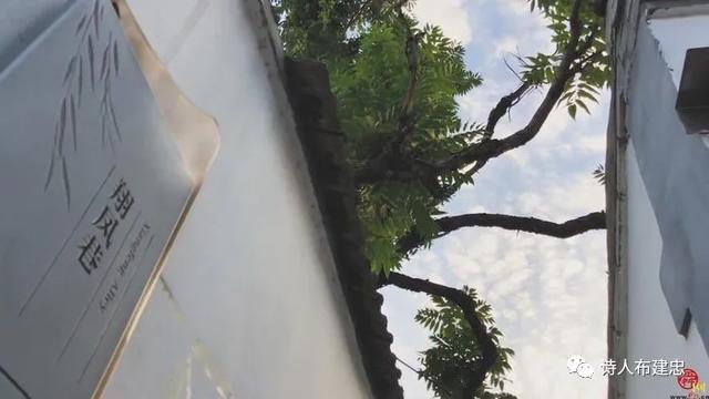 布建忠(小布丁):济南最窄的街巷 翔凤巷(图3)