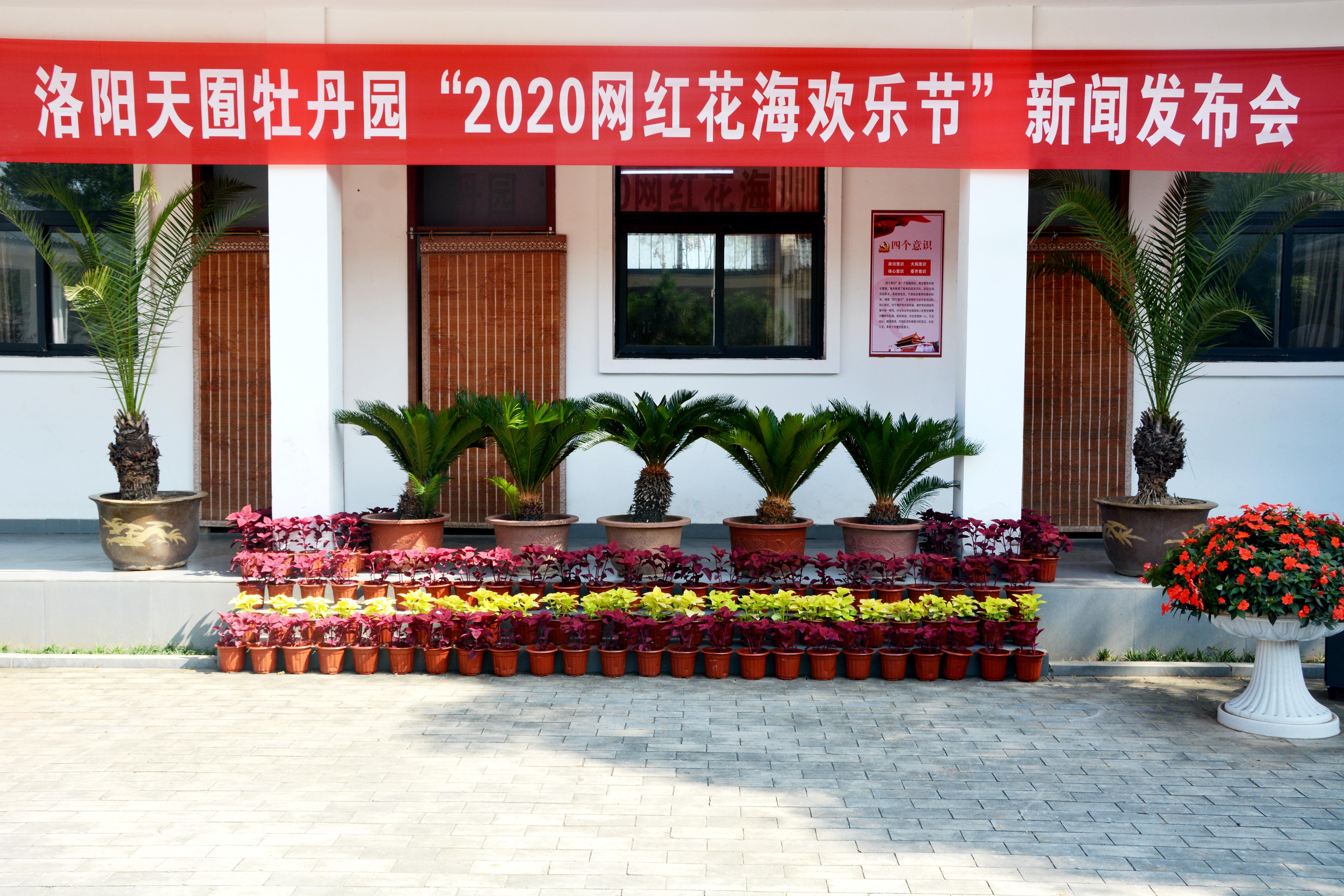 “2020天囿牡丹园网红花海欢乐节”新闻发布会召开