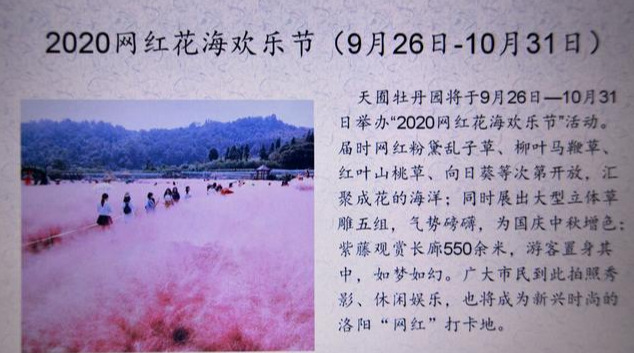 “2020天囿牡丹园网红花海欢乐节”新闻发布会召开